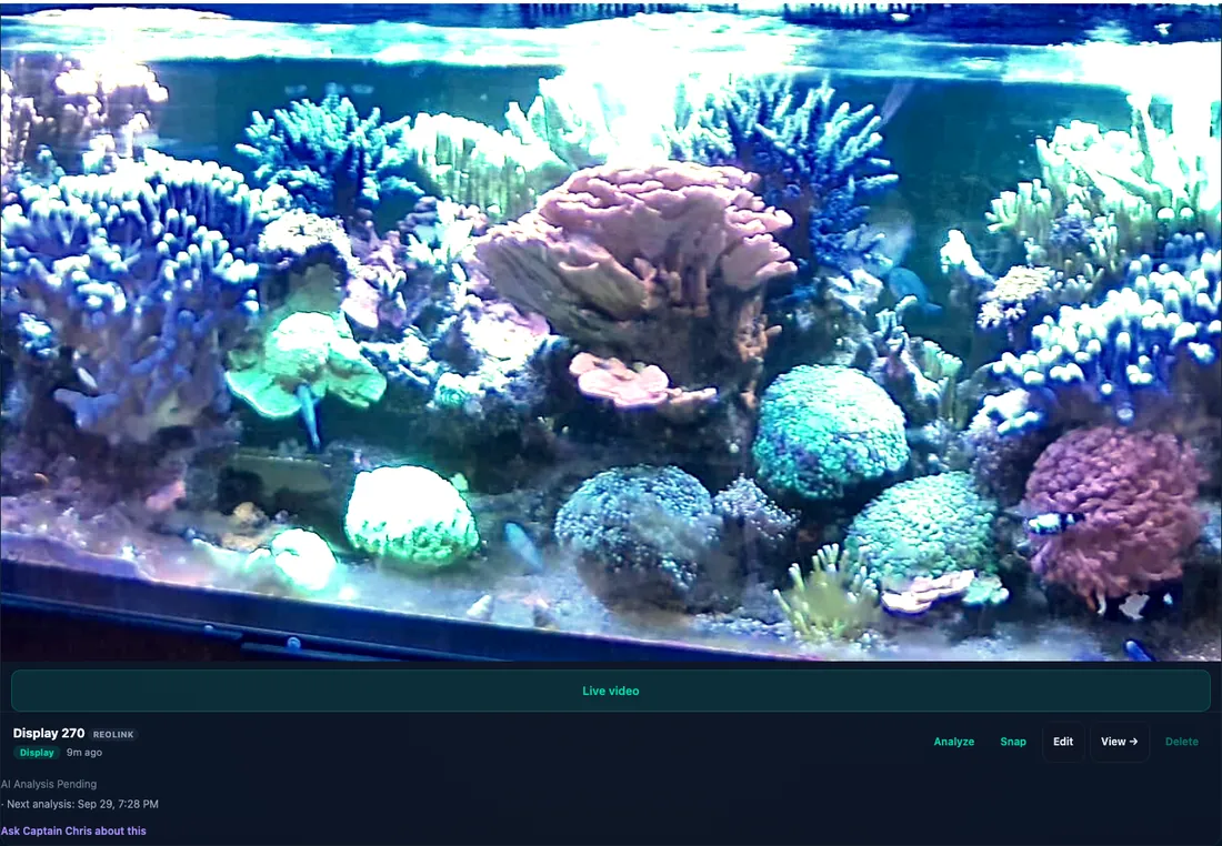 A ReefMind.ai camera card showing the latest photo of a reef display, a Live video button, and Analyze, Snap, Edit, View and Delete buttons.