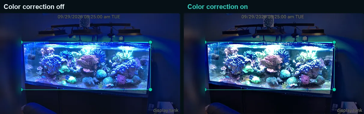The same reef camera photo side by side, with color correction off on the left showing a heavy blue cast and on on the right with more natural coral colors.