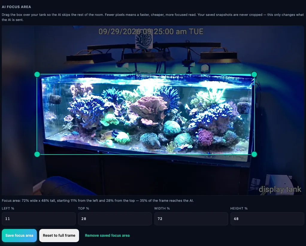 The AI focus area editor with a teal box dragged over the display tank, the room outside it dimmed, and Save focus area and Reset to full frame buttons.