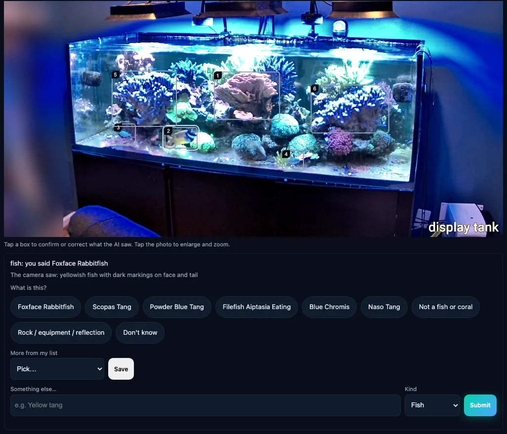 A tapped camera box showing what the camera saw, a yellowish fish with dark markings, with the reefer's own fish names as buttons to pick from.