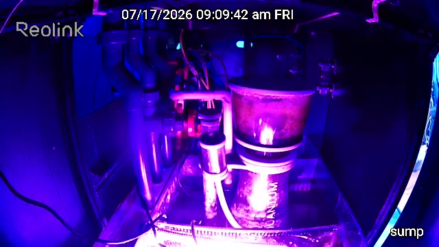 Color low-light frame from the same live sump camera showing the protein skimmer and sump equipment